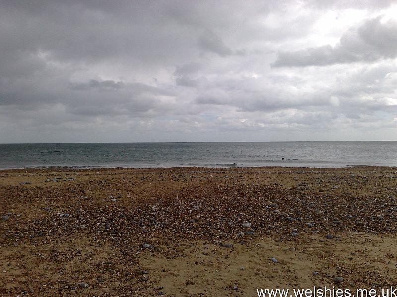 2011-09-05 05.jpg - Can you spot Mr Sealy?